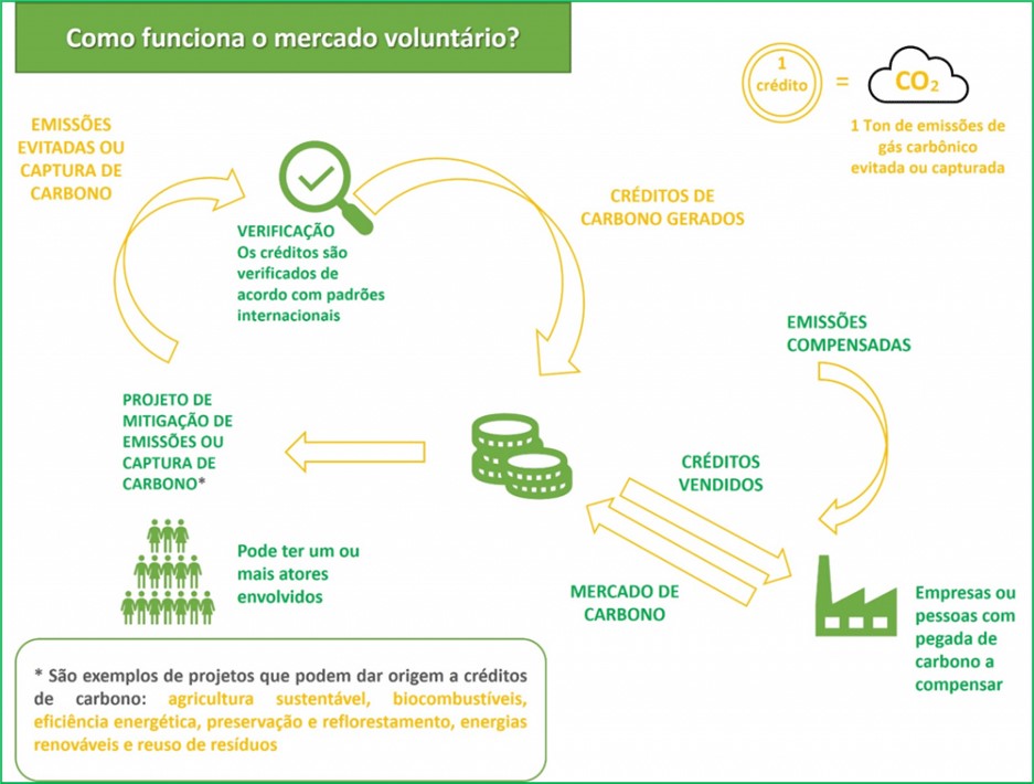 Imagem que contem esquema de como funciona o Mercado Voluntário de carbono. No esquema, 1 crédito de carbono corresponde a 1 tonelada de emissões de gás carbônico evitada ou capturada.